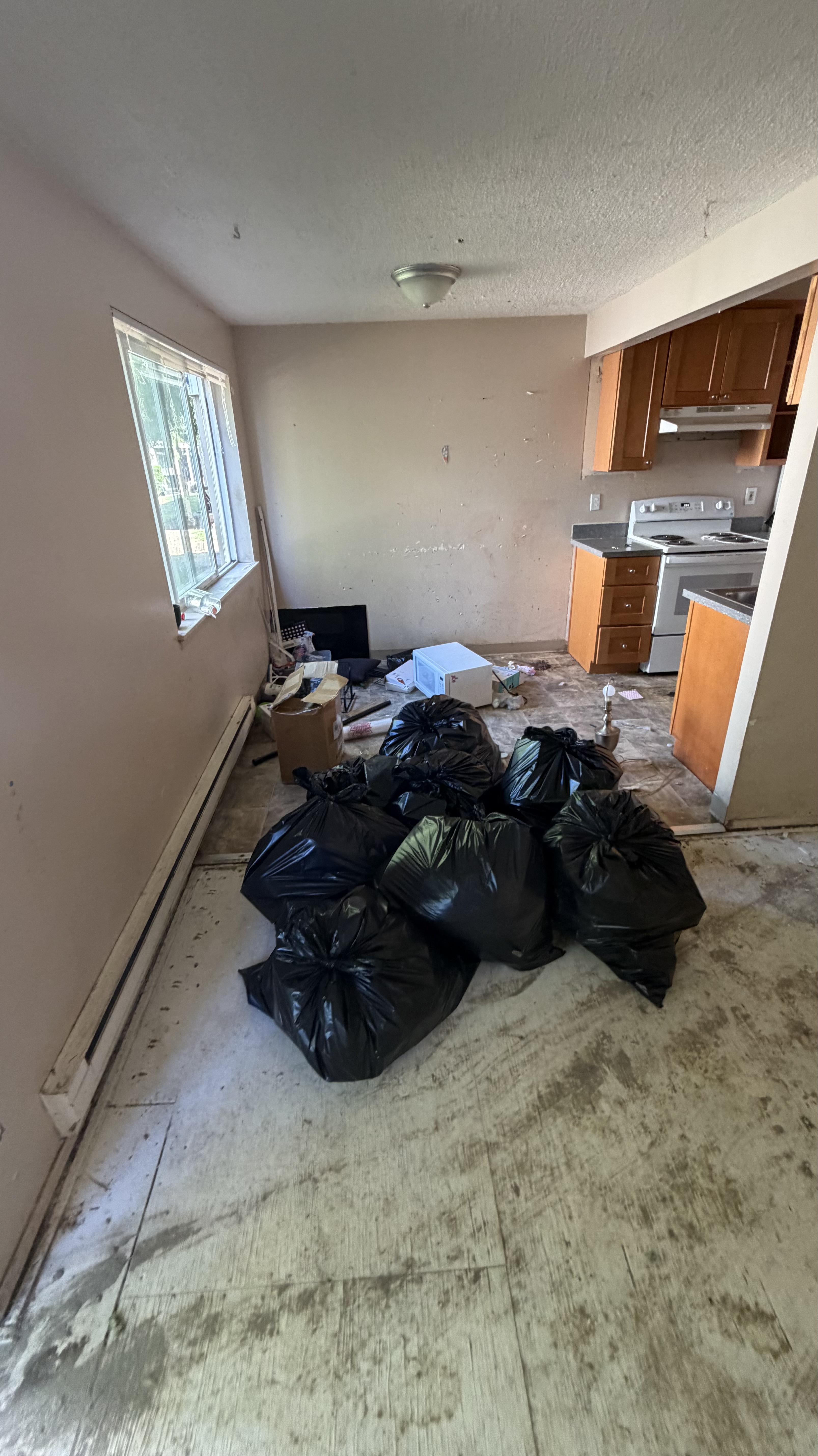Haul Bros job